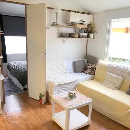 Locationestivale40 Bungalow Petit Budget Ocean Foret Bias  Exterior photo