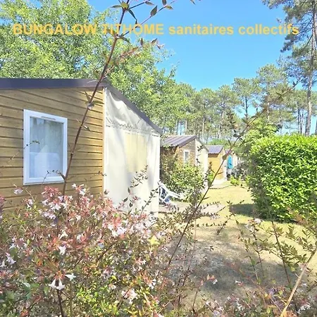 Bungalow-Mobilhome - Petit Prix- Ocean -Foret -Camping 3 Etoiles Bias  Exterior photo
