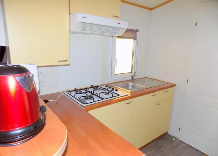 Locationestivale40 Bungalow Petit Budget Ocean Foret