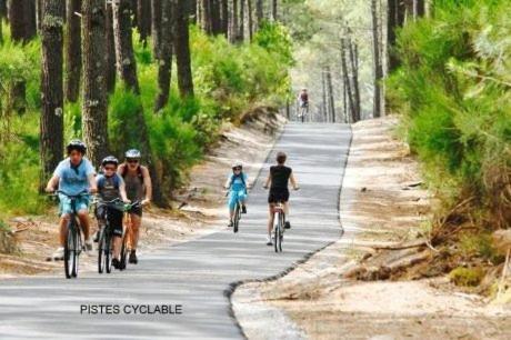 Locationestivale40 Petit Budget Ocean Foret Campsite Bias (Landes)