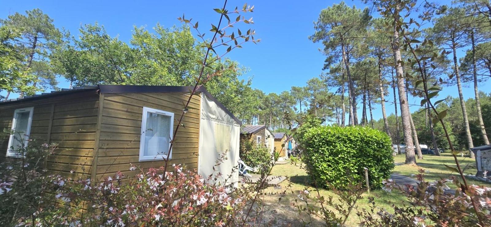 Locationestivale40 Petit Budget Ocean Foret Campsite 3*