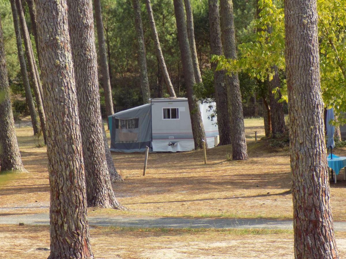 Locationestivale40 Petit Budget Ocean Foret Campsite Bias (Landes)